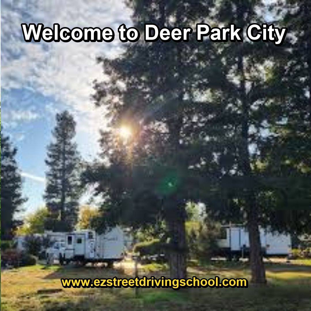 Driving Lessons in Deer Park